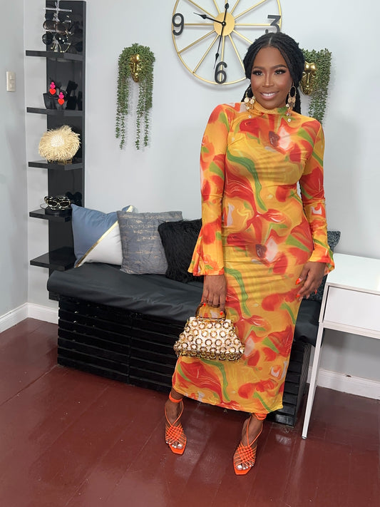 Phoenix Mesh Dress